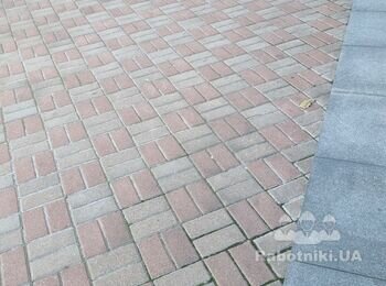 Укладання 50 кв. м. тротуарної плитки