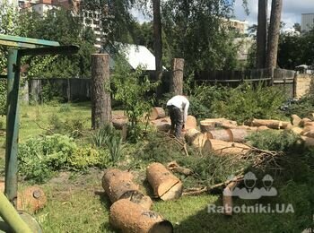 Рубка дров