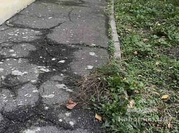 Сделать отмостку, водоотвод 20 кв.м