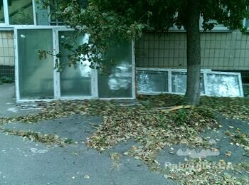 Установить металлопластиковые окна