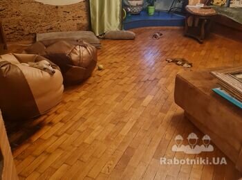 Паркет циклёвка, шпаклёвка, лакировка.