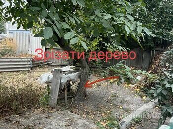 Наведення порядку на ділянці