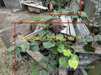 Укладка тротуарної плитки 200м2
