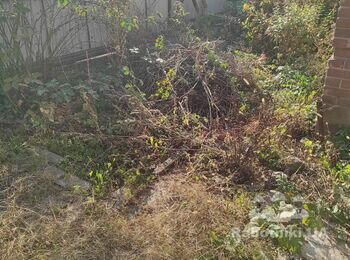 Навести порядок у дворі та біля двору