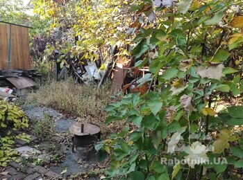 Навести порядок у дворі та біля двору