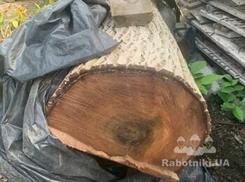 Розпиляти стовбур горіха на зрізи (слайси/слаби)