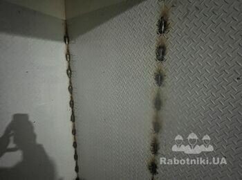 Монтаж чеченців листів на стіну