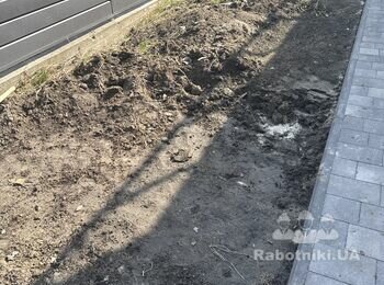 Автоматичний полив