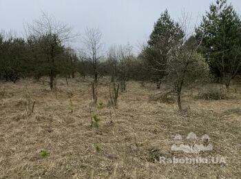 Розчищення земельної ділянки 12 соток