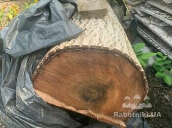 Розпиляти стовбур горіха на кільця