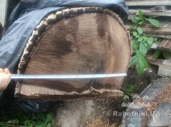 Розпиляти стовбур горіха на кільця