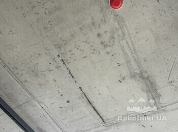 Покраска потолка