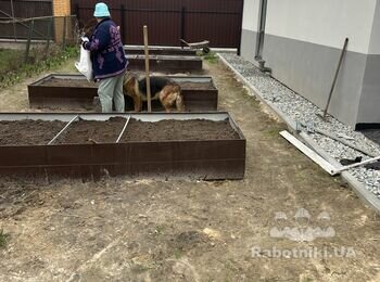Газон, авто полив, 135м.кв