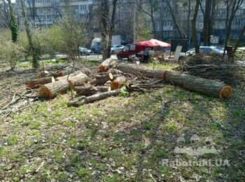 Вывоз срезанных деревьев и веток