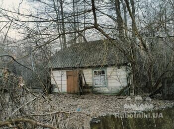 Демонтаж старих будівель в селі