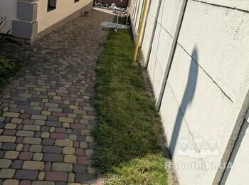 Садівник. Покос газону 1 раз в тиждень. 2.2 сотки. Моя газонокосарка