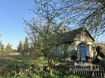 Зрізати дерева та кущі на ділянці