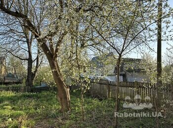 Зрізати дерева та кущі на ділянці