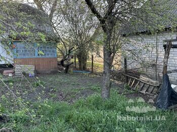 Зрізати дерева та кущі на ділянці