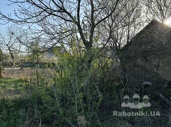 Зрізати дерева та кущі на ділянці