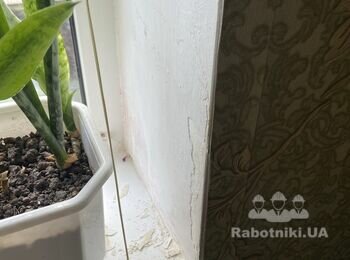 Ремонт откосов (грибок)