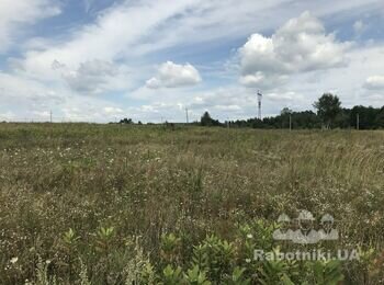 Вирівняти ділянку під забудову