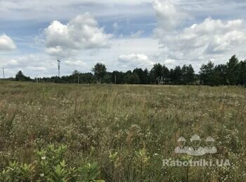 Вирівняти ділянку під забудову
