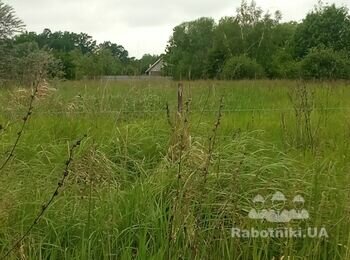 Покосити траву