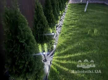 Крапельний полив