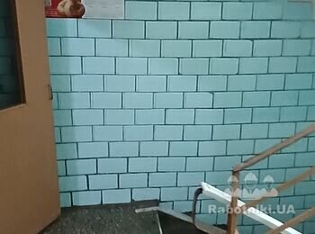 Зняття фарби зі стін та нанесення грунтовки (початок ремонту)