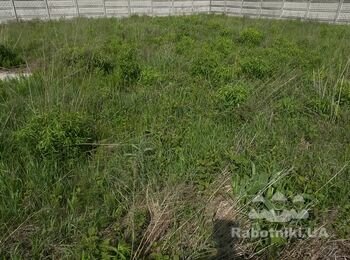 Покос трави