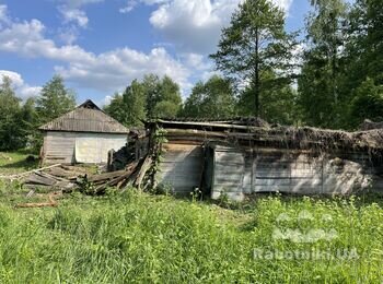 Демонтаж хати, кухні і сарай