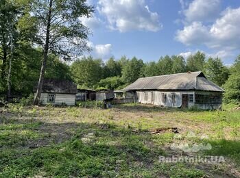 Демонтаж хати, кухні і сарай