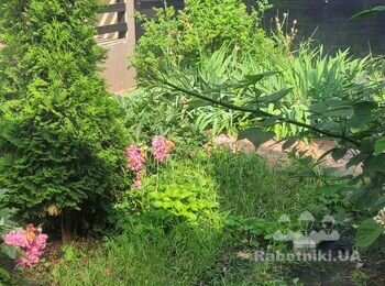Благоустрій прибудинкової території