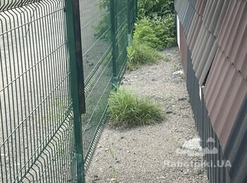 Покосить траву