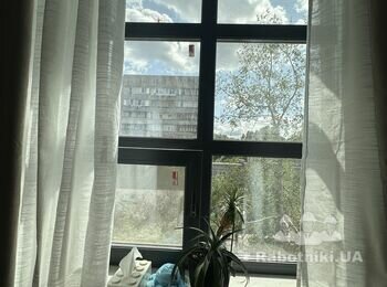 Необхідна мийка вікон з двох сторін
