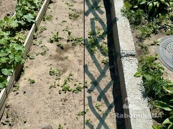 Заливка бетону.