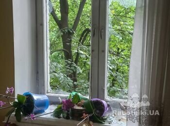 Засклити 4 вікна з дерев'яних рам, склота штапіки виконавця.