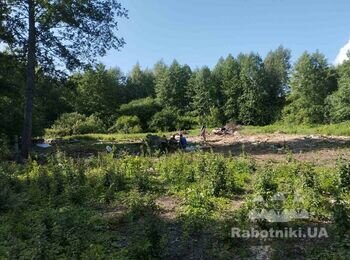 Корчування пнів, закінчити вирізку дерев на ділянці