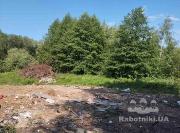 Корчування пнів, закінчити вирізку дерев на ділянці