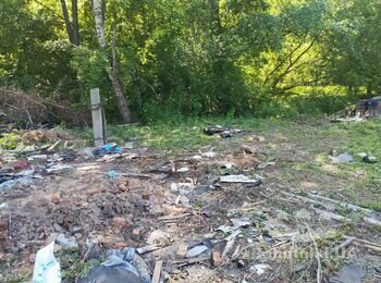 Корчування пнів, закінчити вирізку дерев на ділянці