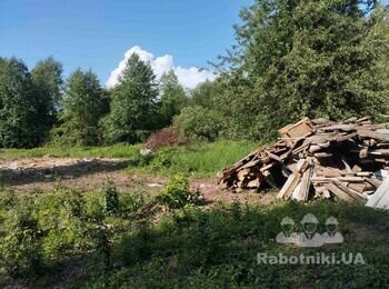 Корчування пнів, закінчити вирізку дерев на ділянці