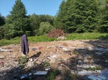 Корчування пнів, закінчити вирізку дерев на ділянці