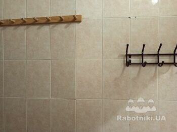 Ремонт стенки в санузле