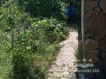 Облаштування дренажу на дачній ділянці перед будинком