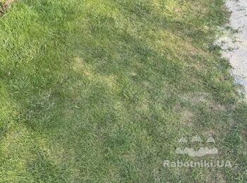 Укладання 30 кв. м. плитки