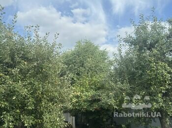Обрізка дерев