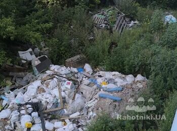 Вивіз сміття, різка дерева і прибирання.