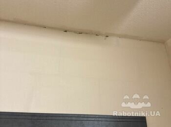 ЧАСТКОВИЙ РЕМОНТ СТІН БАРАНЕЦЬ