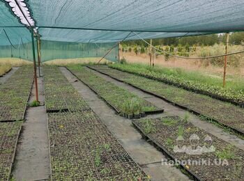 Бетонування металевих стовпів
